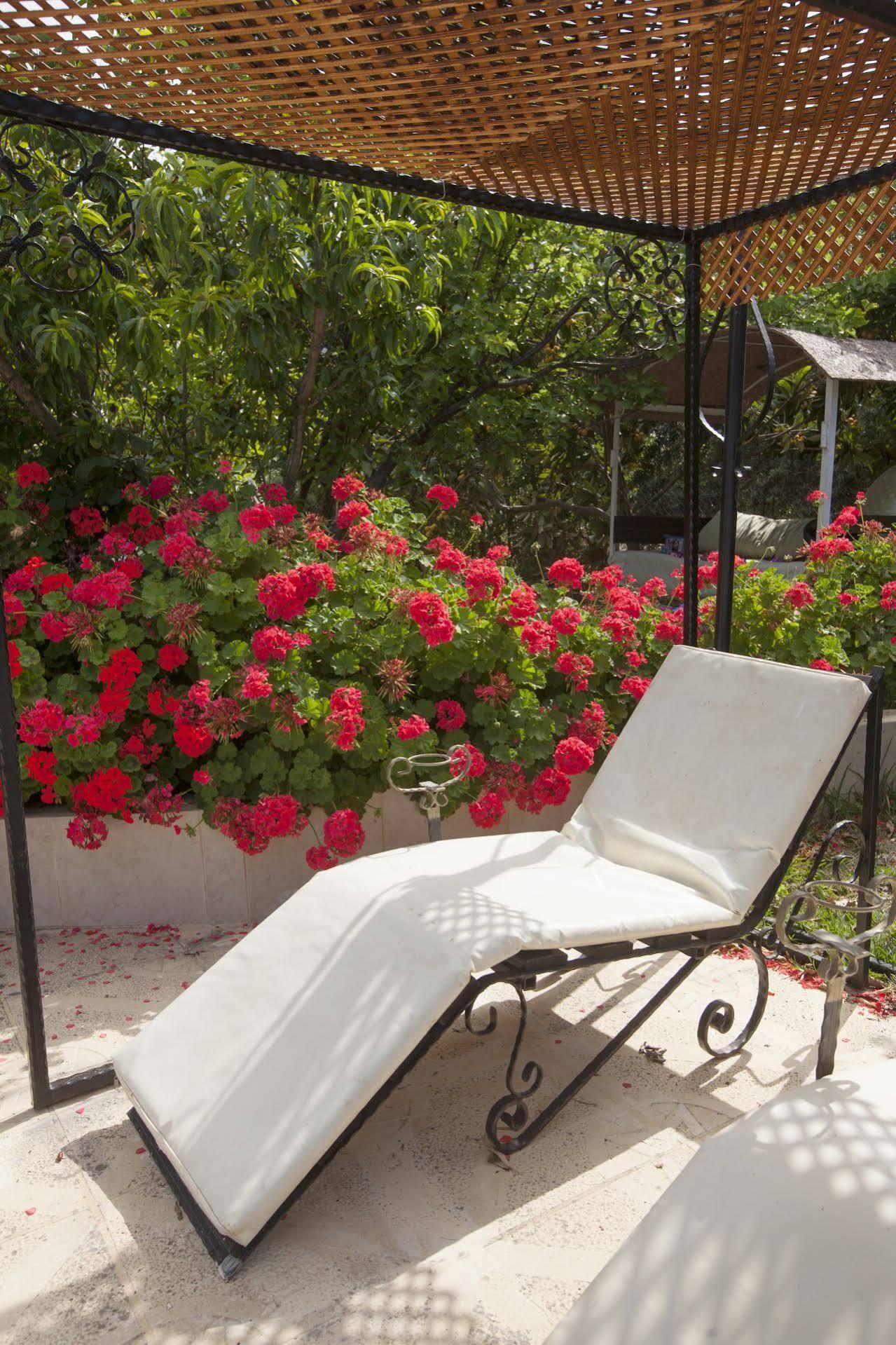 Lapida Garden Hotel Λάπηθος Εξωτερικό φωτογραφία