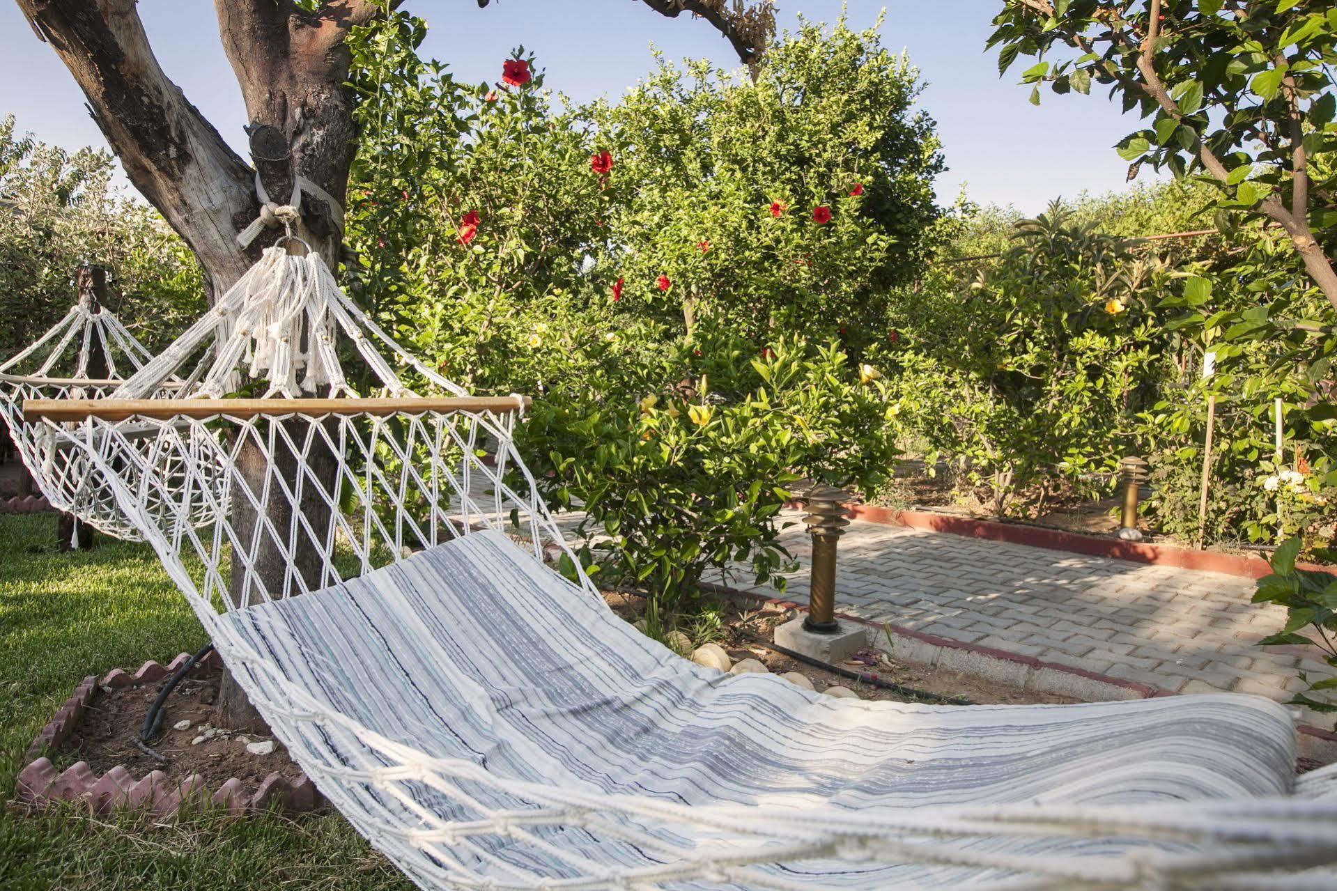 Lapida Garden Hotel Λάπηθος Εξωτερικό φωτογραφία